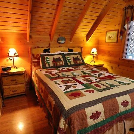 Cute Updated Mountain Cabin Fireplace #3 Helen Kültér fotó