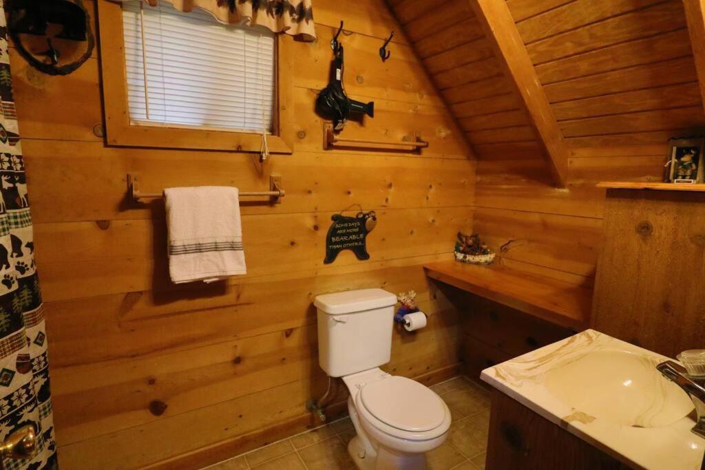 Cute Updated Mountain Cabin Fireplace #3 Helen Kültér fotó