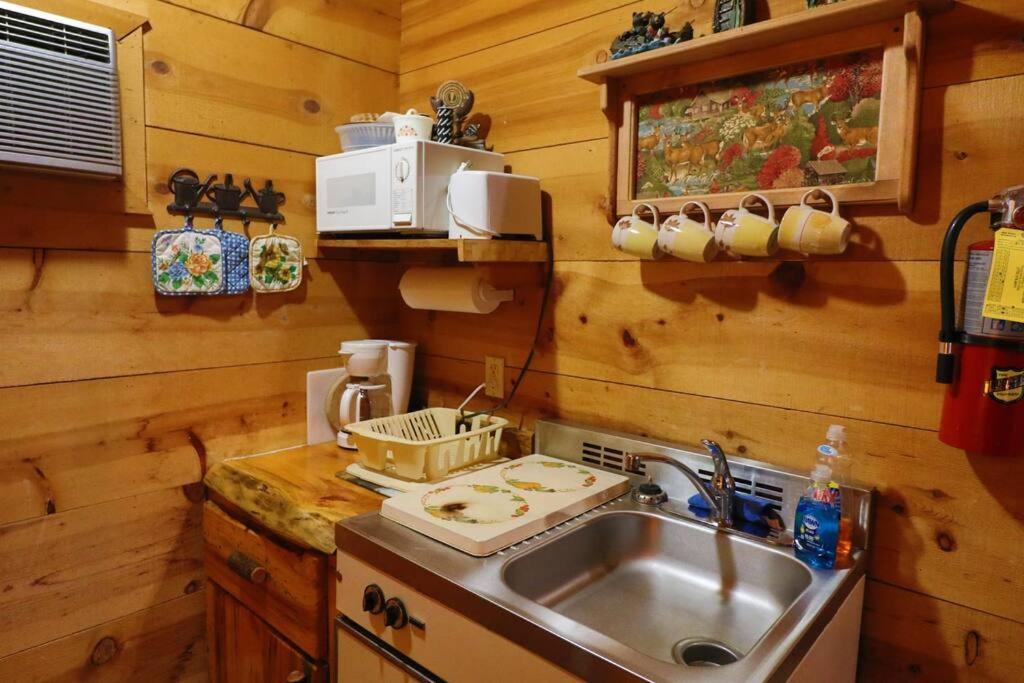 Cute Updated Mountain Cabin Fireplace #3 Helen Kültér fotó