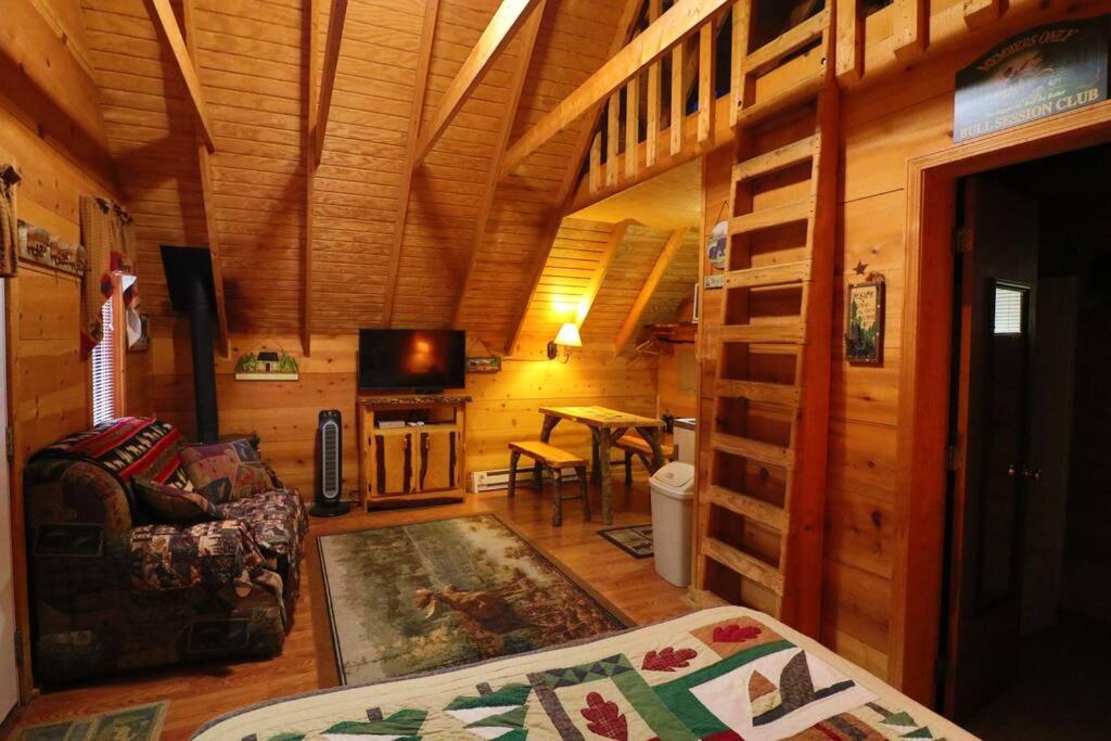 Cute Updated Mountain Cabin Fireplace #3 Helen Kültér fotó